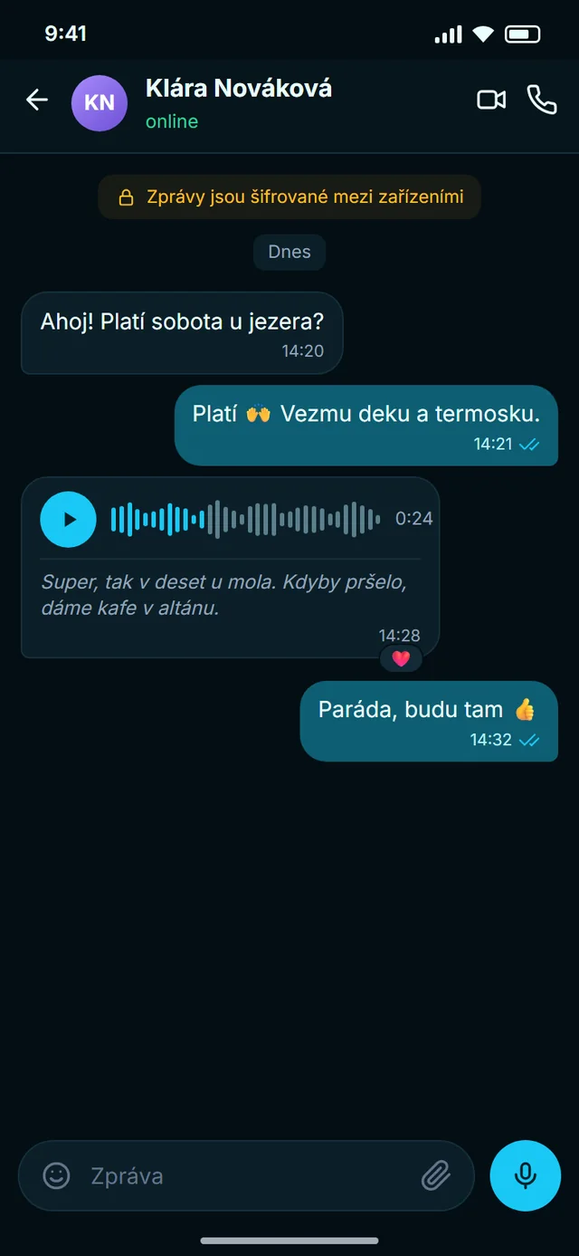 Řekněte to hlasem